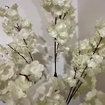Farola サラエヴォ