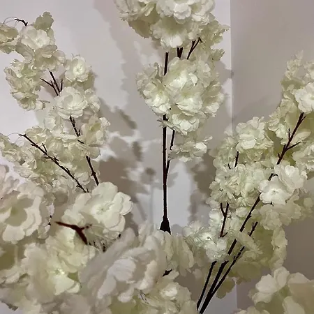 Farola 塞拉耶佛